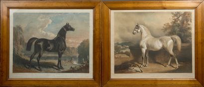 Alfred de DREUX (1810-1860) after.
Ali -...