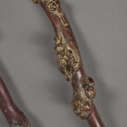 Two molded and carved wooden canes with vegetal...