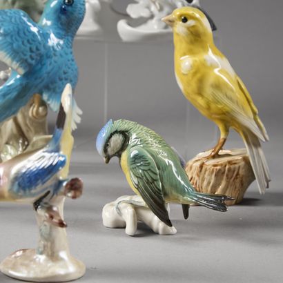 Thirteen birds or groups of birds in enameled...