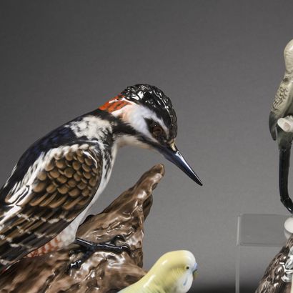 Thirteen birds or groups of birds in enameled...