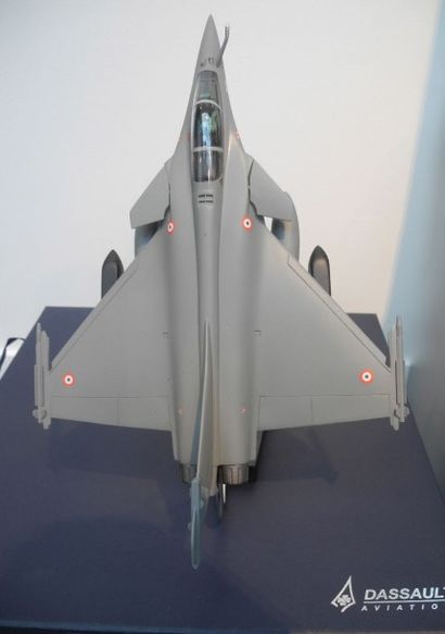 DASSAULT AVIATION, Rafale C, 1/48, résine...