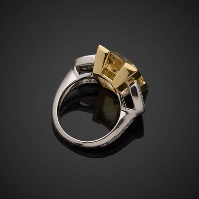 Ring in yellow and white gold 750 thousandths,...
