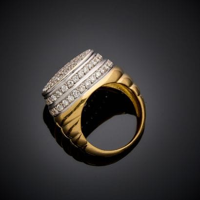 Ring in yellow and white gold 750 thousandths,...