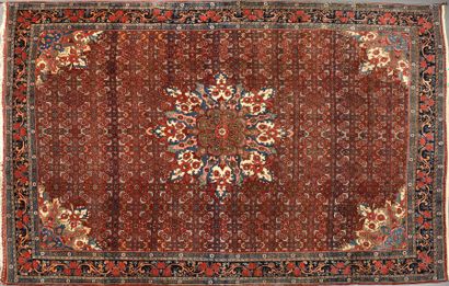 Important tapis BIDJAR le velours en laine,...