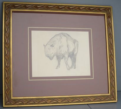 Rembrandt BUGATTI (1884-1916). Etude de Bison....