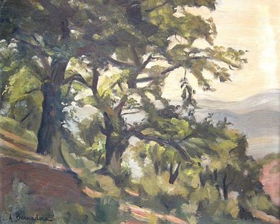 André Gabrile BERNADOU (1910-1985)
« Villefort(Corrèze) »...