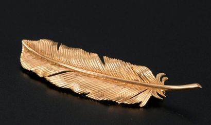Broche plume en or jaune 18K.

Long. : 6...