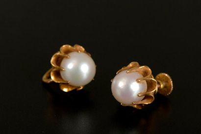 Paire de boutons d'oreille en or jaune 9K...