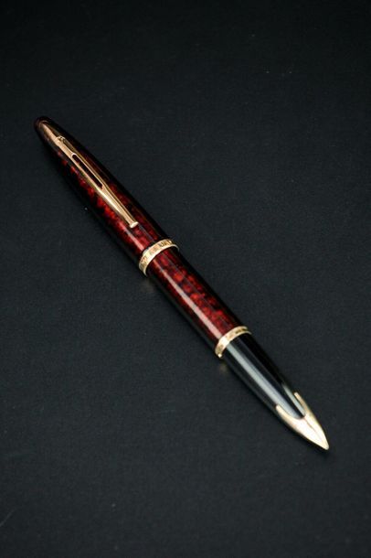 WATERMAN
Stylo plume en résine mouchetée...