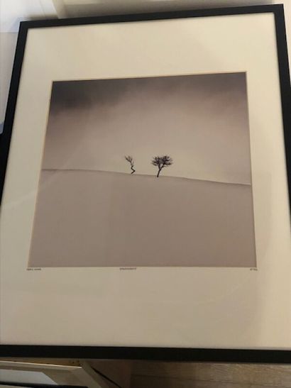 Lot de deux photographies :

- EBRU SIDAR

DEGENARATE...