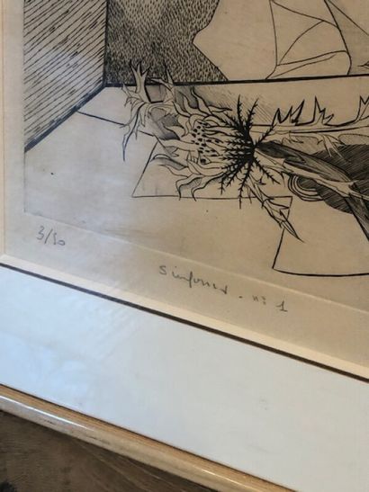 ECOLE DU XXE SIECLE

Les oiseaux

Lithographie

Signée...