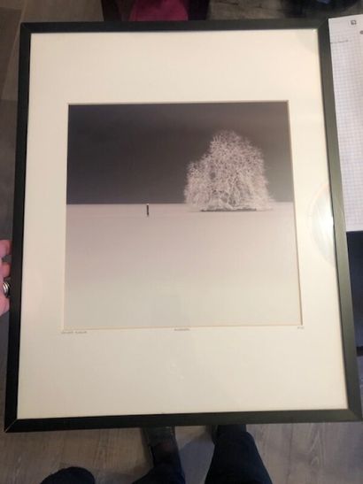 Lot de deux photographies :

- EBRU SIDAR

DEGENARATE...