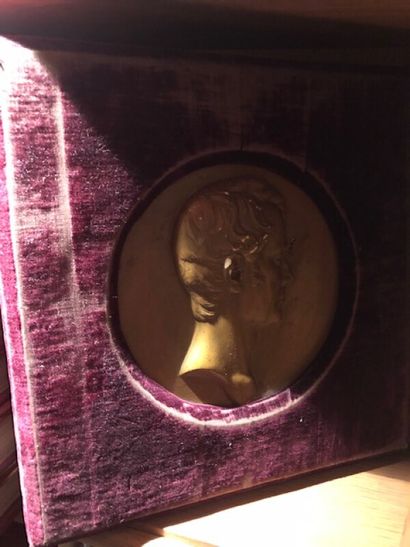 Medallion in patinated plaster representing...