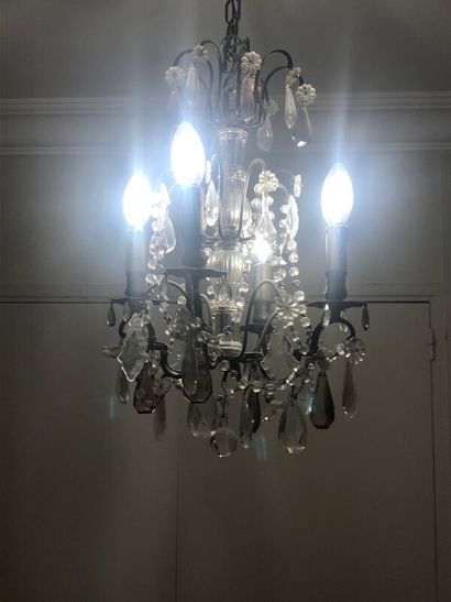 Petit lustre à pendeloques de cristal violine

H....