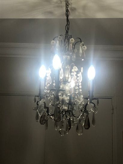 Petit lustre à pendeloques de cristal violine

H....