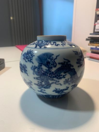 CHINE - Petit pot à gingembre à décor blanc...