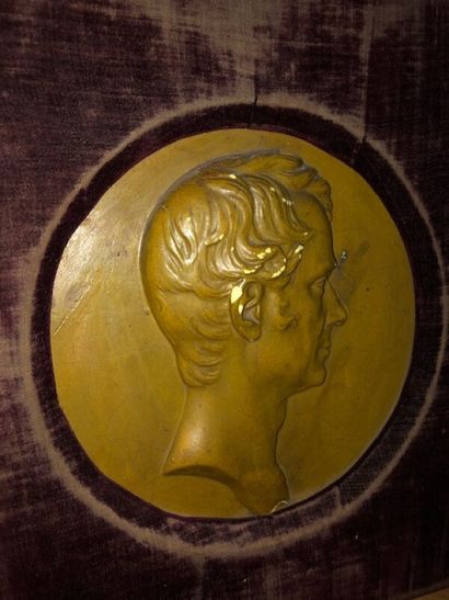 Medallion in patinated plaster representing...
