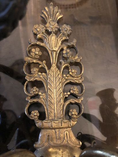Paire d'appliques aux cygnes en bronze doré...
