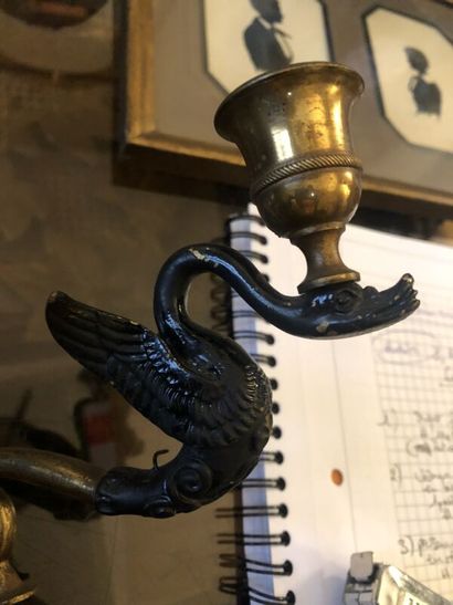 Paire d'appliques aux cygnes en bronze doré...
