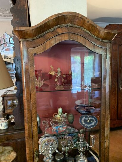 Transition-style veneered display case or...