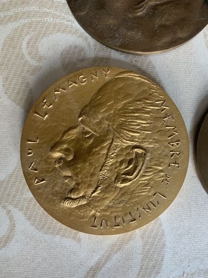 LOT of 14 decorative medals in gilded br...