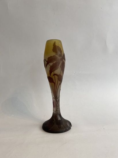 ETABLISSEMENTS GALLE
Tulip vase with foliage....