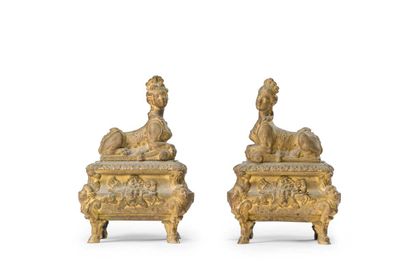 Pair of ormolu andirons decorated with an...