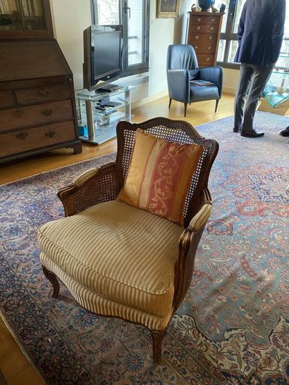 Pair of English-style caned armchairs