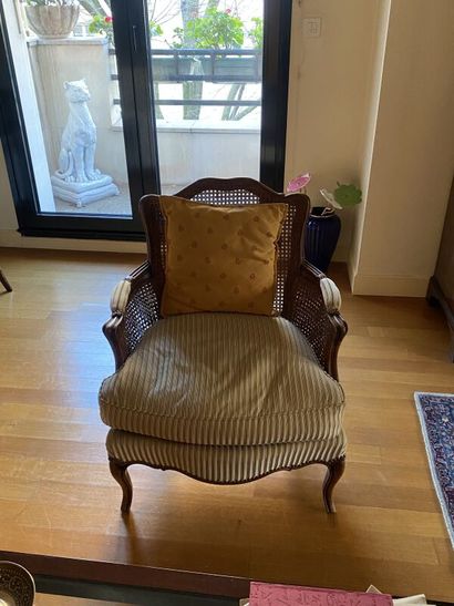 Pair of English-style caned armchairs