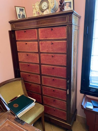 Mahogany cardboard cabinet
164x36x13cm
Damage...