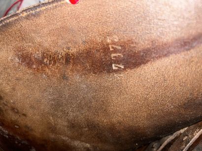 Tan leather saddle + stirrups
HERMÈS AND...
