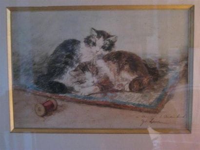 Yvonne LAUR (1879-1943)
Deux chatons et leur...