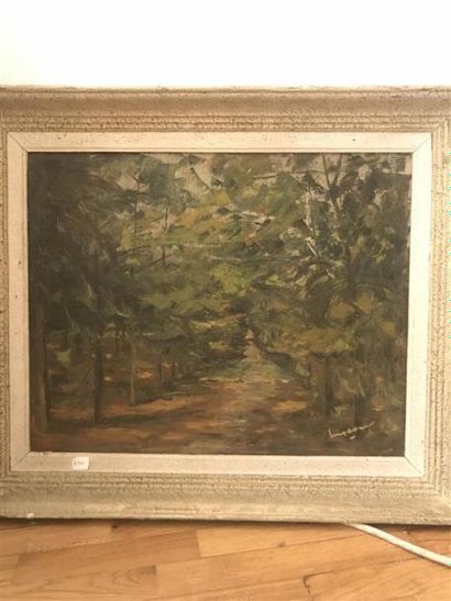 Ecole du XIXe
Chemin dans les bois
Huile...