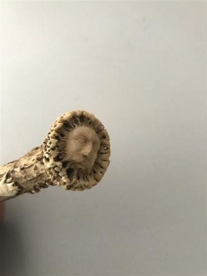 Andouiller de cerf finement ciselé d'une...
