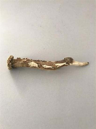 Andouiller de cerf finement ciselé d'une...