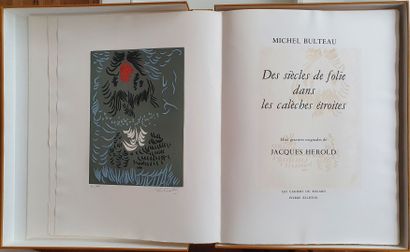 Michel BULTEAU, Des siècles de folie dans...