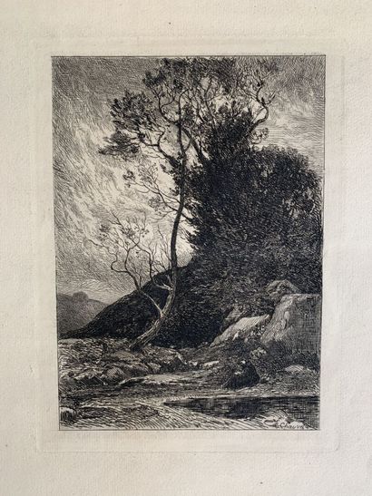 Charles -François DAUBIGNY (1817 - 1878),...