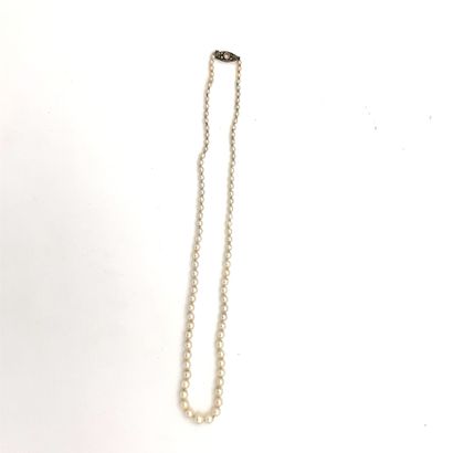 NECKLACE of pearls (probably fine).
Length...