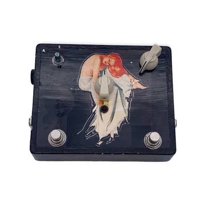 JAM effect pedal, DelayLama custom+ mode...