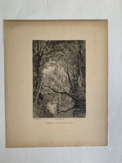 Charles -François DAUBIGNY (1817 - 1878),...