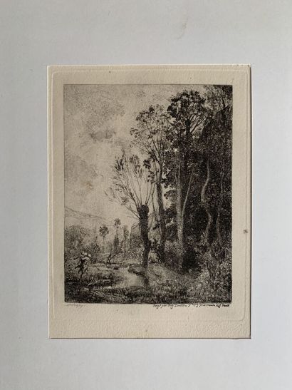 Charles -François DAUBIGNY (1817 - 1878),...
