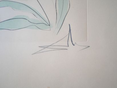 Salvador DALI, Le Chêne et le Roseau, Pointe...