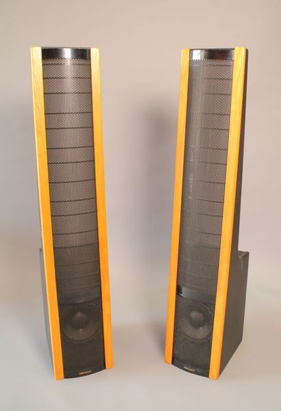MARTIN LOGAN Ltd Paire d'enceintes colonnes...