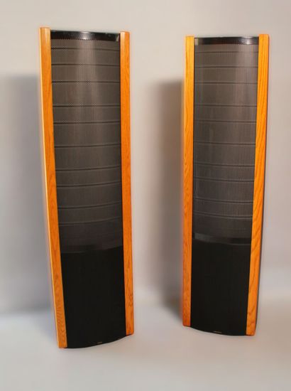 MARTIN LOGAN Ltd, Paire d'imposantes enceintes...
