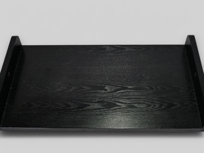 TRAVAIL FRANCAIS dans le goût de Dieter RAMS...
