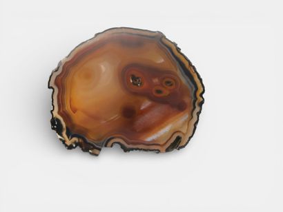 Polished agate slice.
Dimensions: 19.5 x...