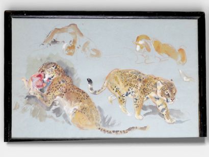 ECOLE MODERNE
Etude de félins
Aquarelle et...