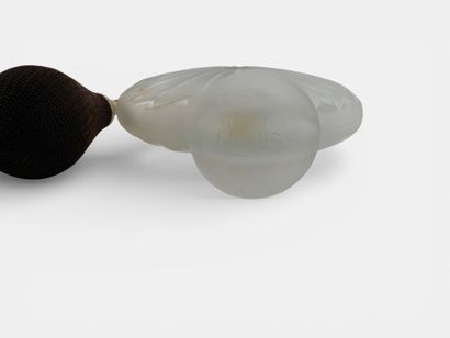 CRISTAL LALIQUE
Anemone