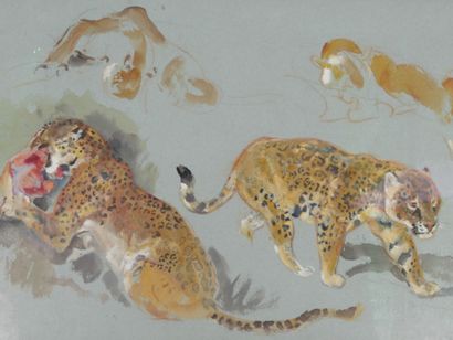 ECOLE MODERNE
Etude de félins
Aquarelle et...