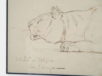 Edouard EVENO (1884-1980)
Etude de tigres
Aquarelle,...
